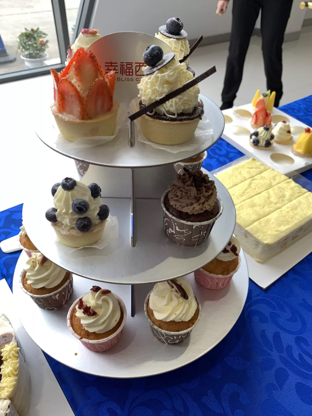 抖圈- 为du而生官网入口